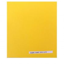Χαρτόνι γκοφρέ κίτρινο/Cedro 45 50x70εκ 220γρ 10 φύλλα 