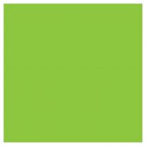 Αυτοκόλλητο Βινύλιο Ρολό Fluo Green Monomeric 412 610mmX50m Μονομερικό