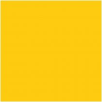 Βινύλιο Θερμομεταφοράς Ρολό P.S. film Yellow A0004 25x500m