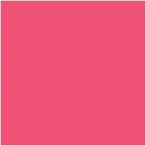 Βινύλιο Θερμομεταφοράς Ρολό P.S. film Pink A0008 25x500mm