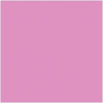 Βινύλιο Θερμομεταφοράς Ρολό P.S. film Fluo Pink A0024 25x500mm