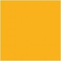 Βινύλιο Θερμομεταφοράς Ρολό P.S. film Electric Yellow E0004 25x500mm