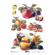 Ριζόχαρτο "fruits" 21x29εκ.   (ITD-R397)