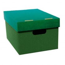 Νext κουτί classic ολόκληρο πράσινο Α5 Υ16x16x22εκ.