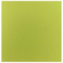 Χαρτόνι Γκοφρέ 50x70cm 220gr Πράσινο Ανοιχτό/Light Yellow Green 10 φύλλα
