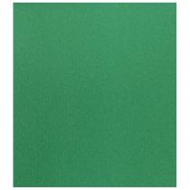 Χαρτόνι Γκοφρέ 50x70cm 220gr Πράσινο/Green 10 φύλλα