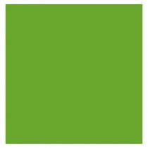 Αυτοκόλλητο Βινύλιο Oracal 641G Lime Tree Green F063 630mmx50m 3ετίας