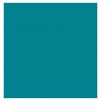 Αυτοκόλλητο Βινύλιο Oracal 641G Turquoise Blue F066 1260mmx50m 3ετίας