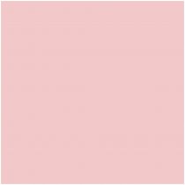Βινύλιο Θερμομεταφοράς Ρολό P.S. Stretch Ballarina Pink  A0001 500m